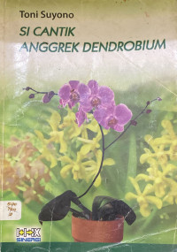 Image of Si Cantik Anggrek Dendrobium